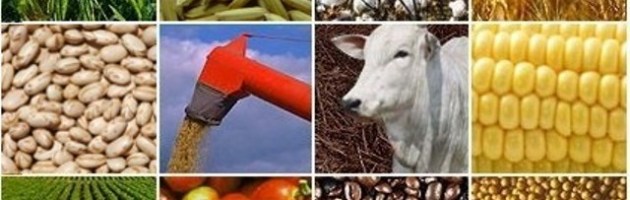 Cotação Agrícola 19/07/19