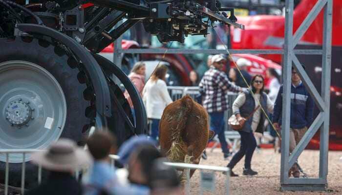 SUSTO - Touro foge de arena durante prova do Freio de Ouro e assusta visitantes da Expointer 😱🐂