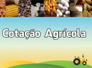 Cotação Agrícola 09/08/19