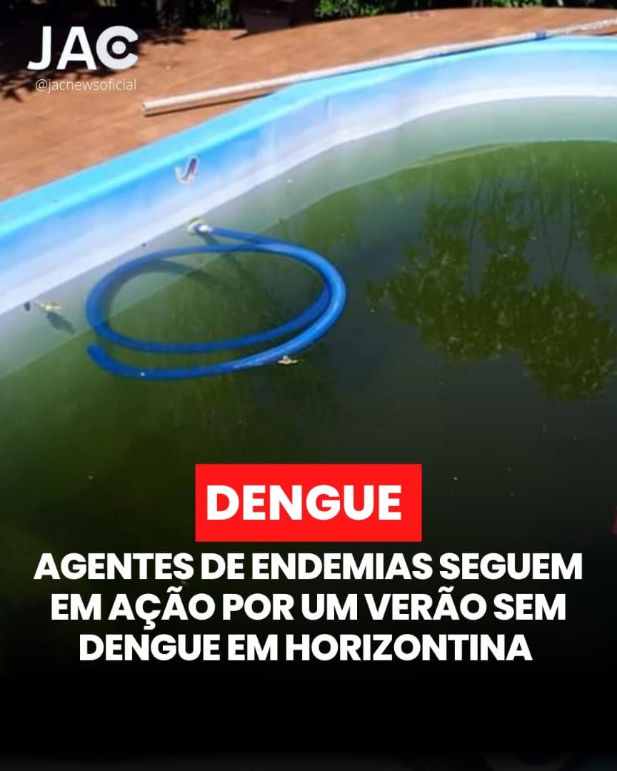 DENGUE EM HORIZONTINA