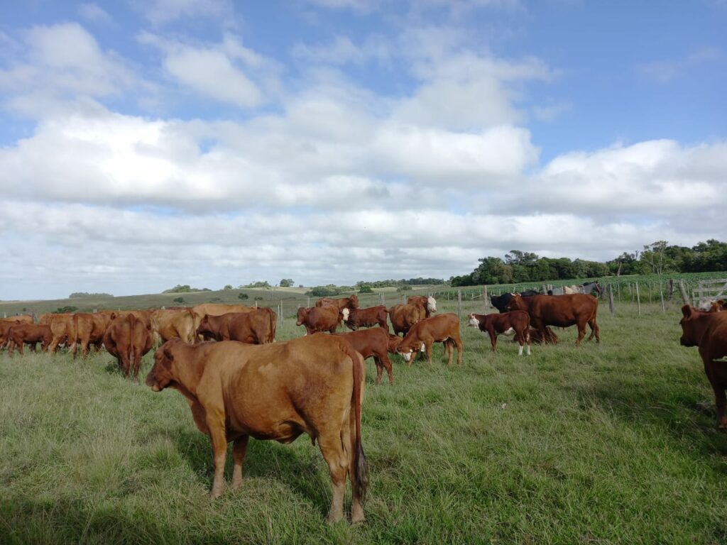 BANDIDOS OBRIGAM DONO DE PROPRIEDADE RURAL NO RS  A FAZER PIX DE R$200 MIL, APÓS SER FEITO DE REFÉM EM ASSALTO