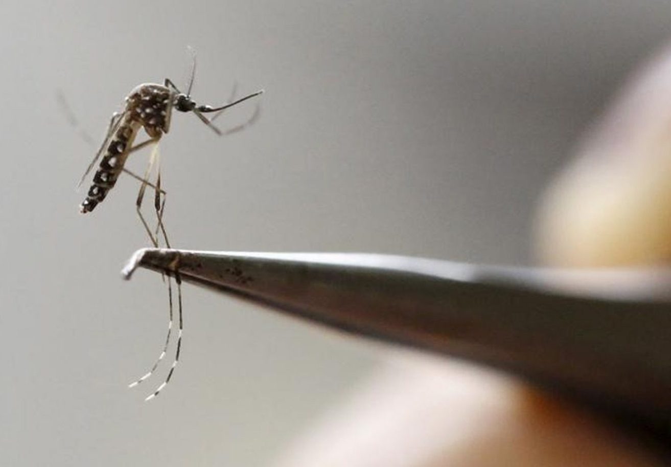 Segundo óbito por dengue no Rio Grande do Sul em 2023 é registrado