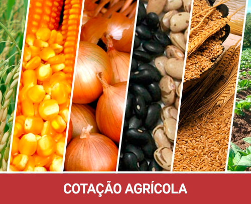 Cotação Agrícola 26/07/19