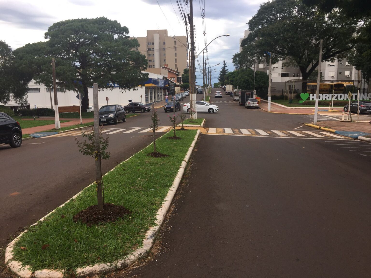 Departamento de Meio Ambiente atento na revitalização da arborização de Horizontina