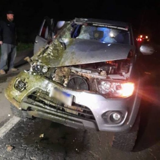 Cavalos soltos na pista provocam acidente na RS-344, em Santo Ângelo