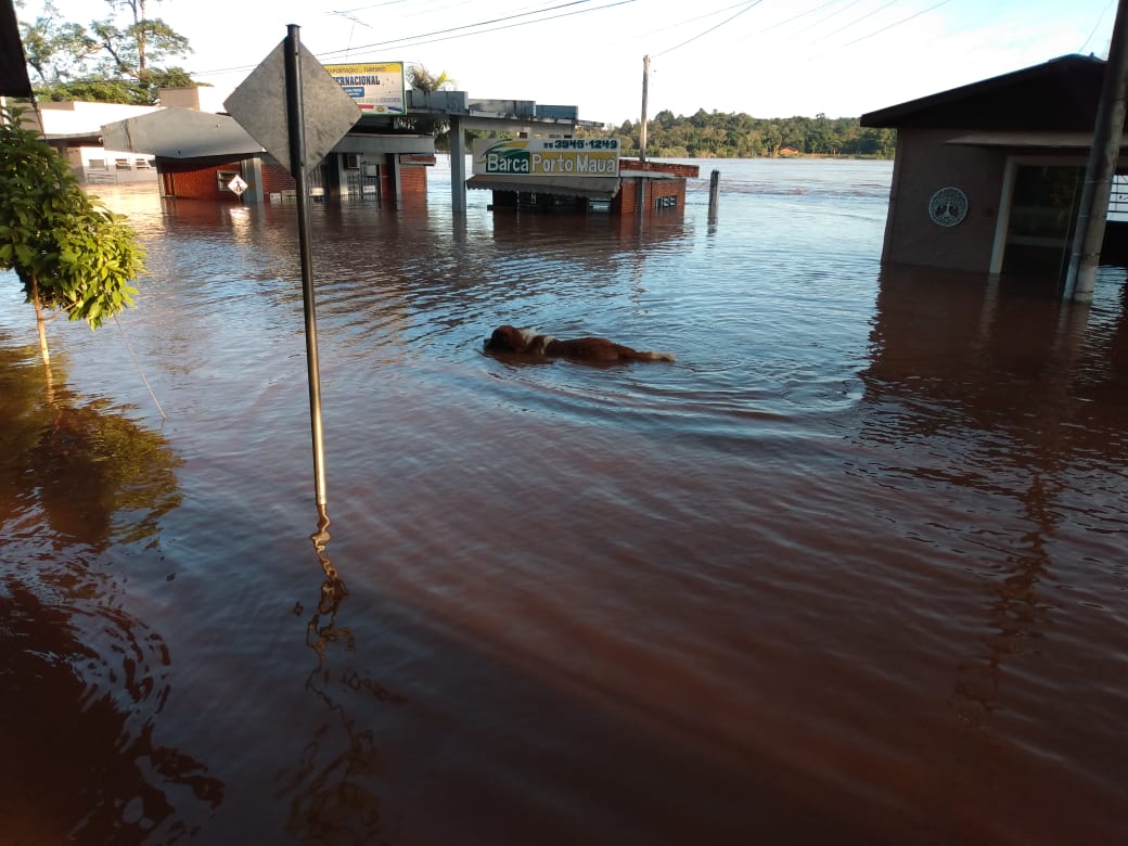 ALERTA PARA POSSIBILIDADE  DE ENCHENTE NO RIO URUGUAI EM PORTO MAUÁ E REGIÃO