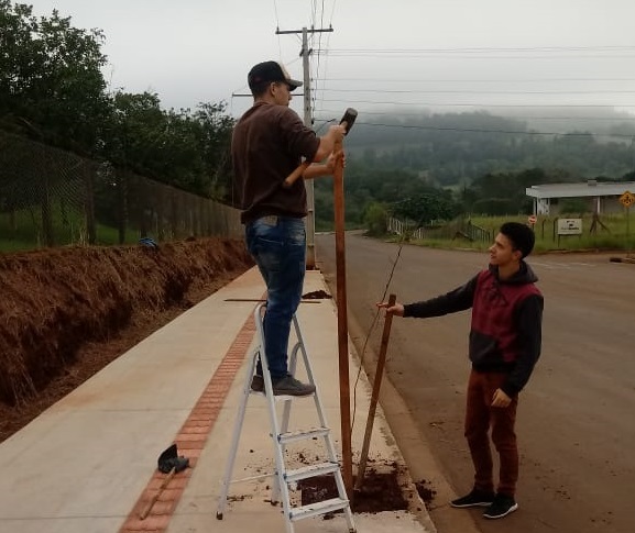 Plantio de árvores como atividade da Semana do Meio Ambiente