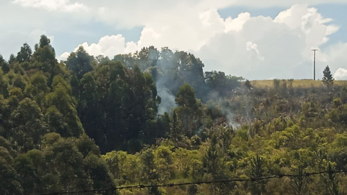 Incêndio em vegetação é combatido no interior de Sede Nova