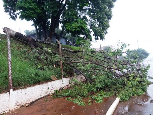 Chuva forte acompanhada de vento foi registrada em Crissiumal e região