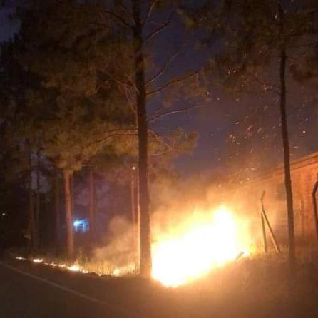 Incêndio atinge vegetação às margens da ERS 207 em Vista Alegre, interior de Crissiumal