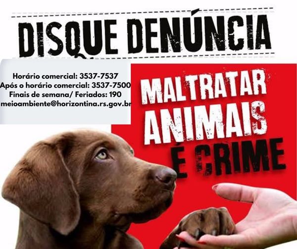 MAUS TRATOS AOS ANIMAIS É CRIME – EM HORIZONTINA VOCÊ TEM ONDE DENUNCIAR!