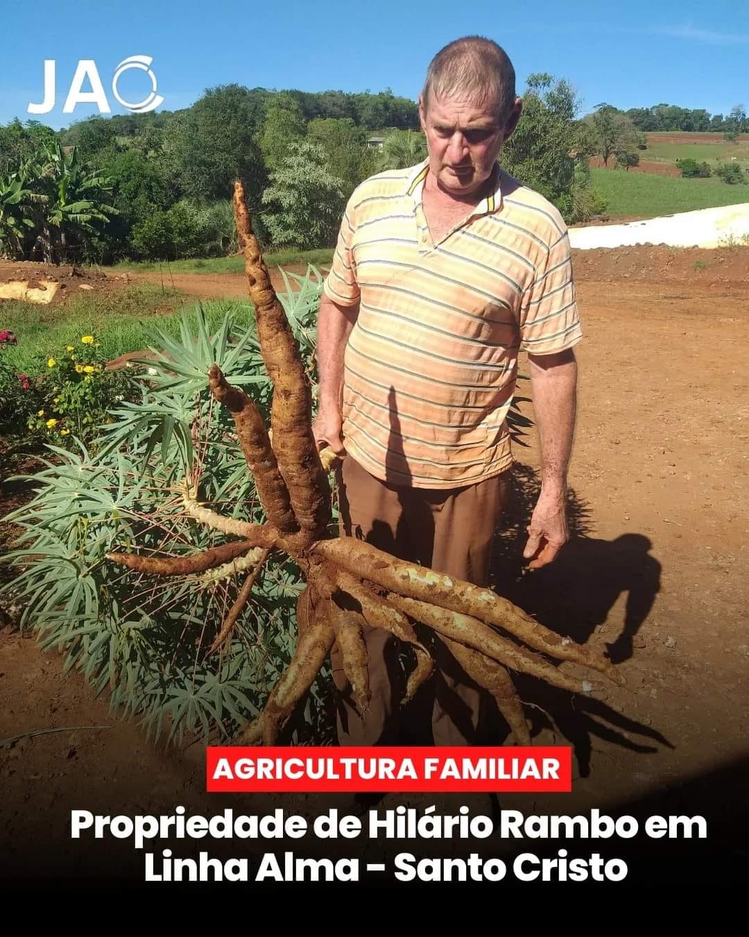 PROPRIEDADE DE HILÁRIO RAMBO EM LINHA ALMA -SANTO CRISTO