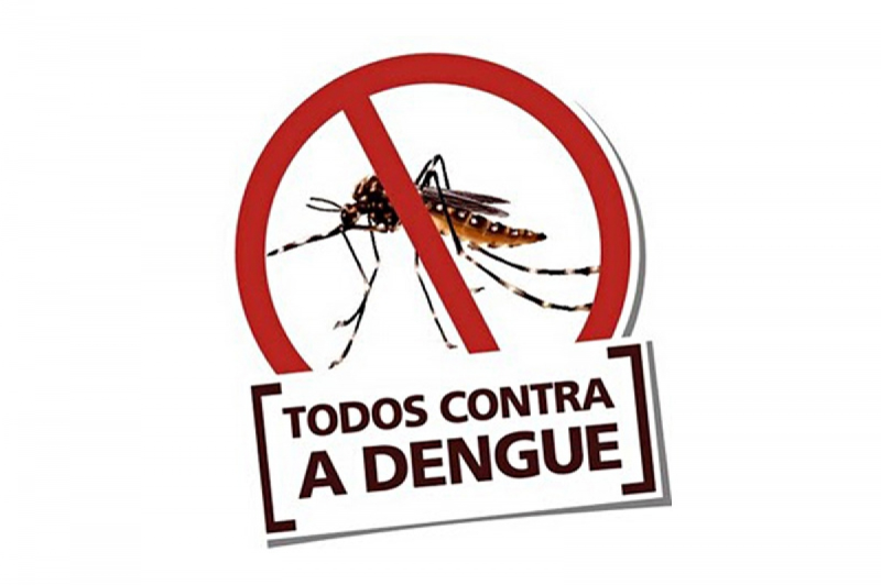 Horizontina é o terceiro município em casos de dengue na região