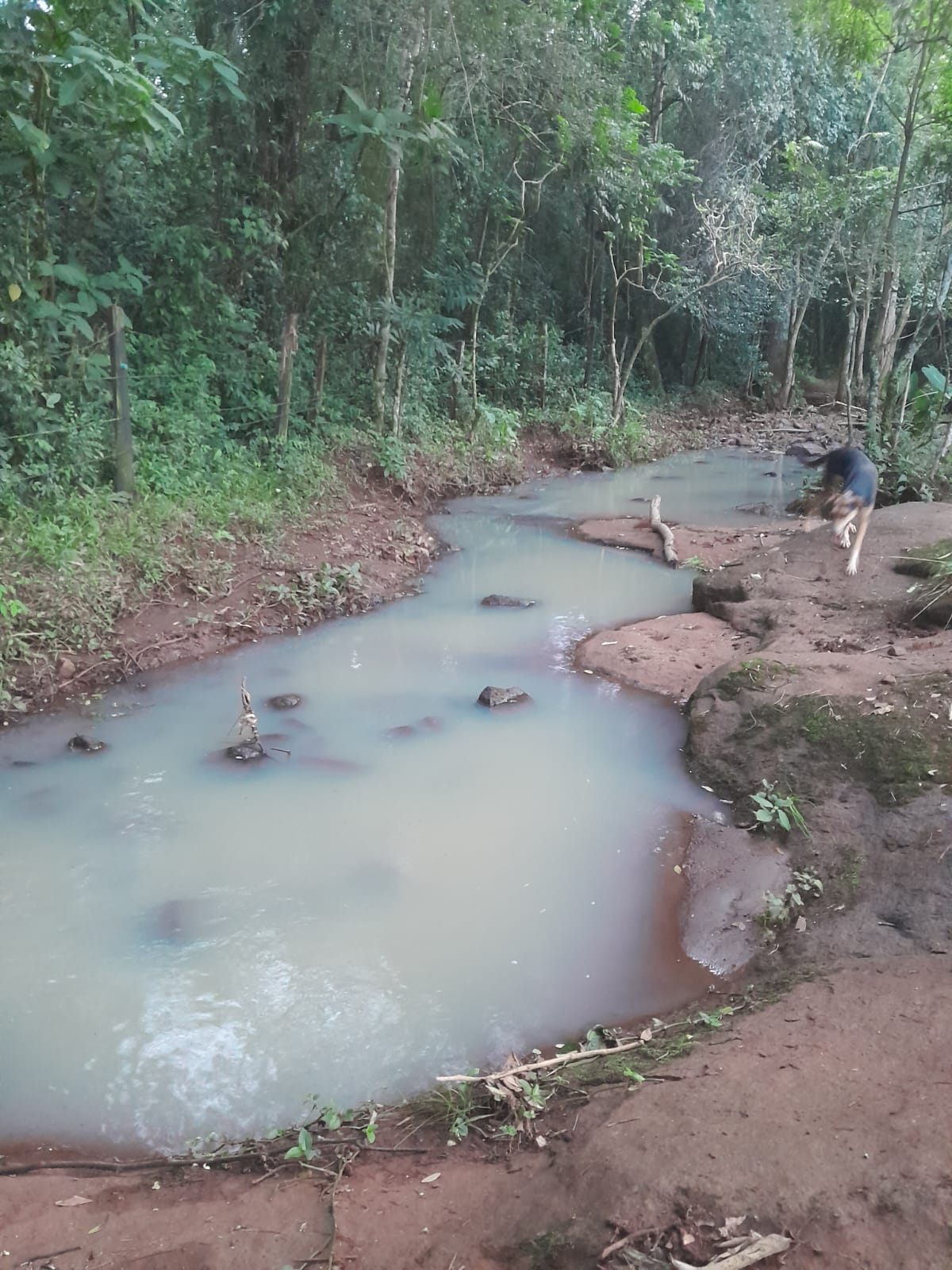 COR DA ÁGUA DO LAJEADO BUGRE DEIXOU AGRICULTORES APREENSIVOS